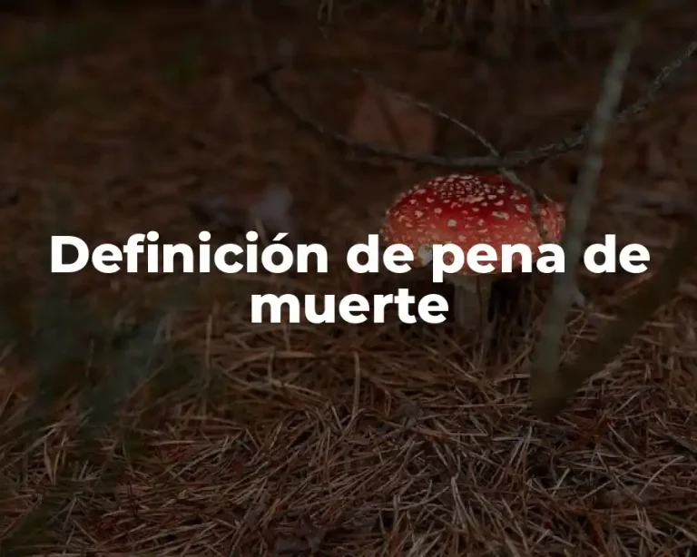 Definición de pena de muerte