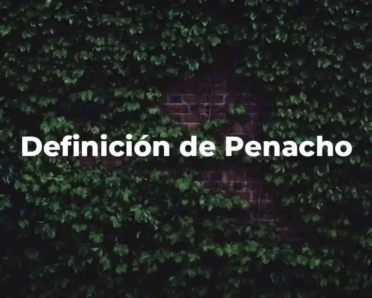 Definición de Penacho