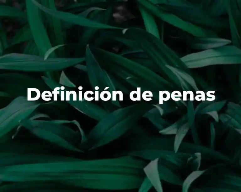 Definición de penas