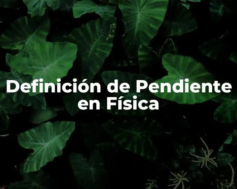 Definición de Pendiente en Física