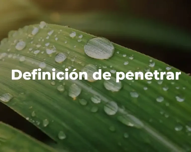 Definición de penetrar