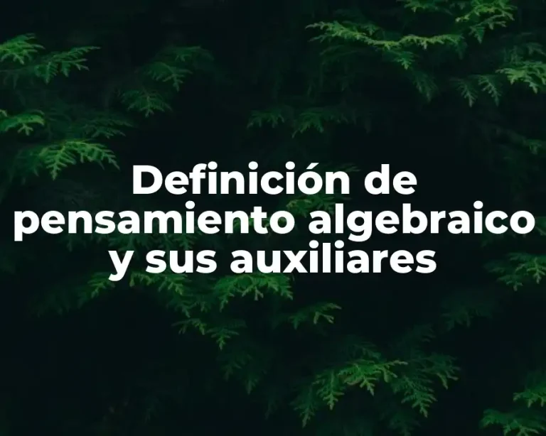 Definición de pensamiento algebraico y sus auxiliares