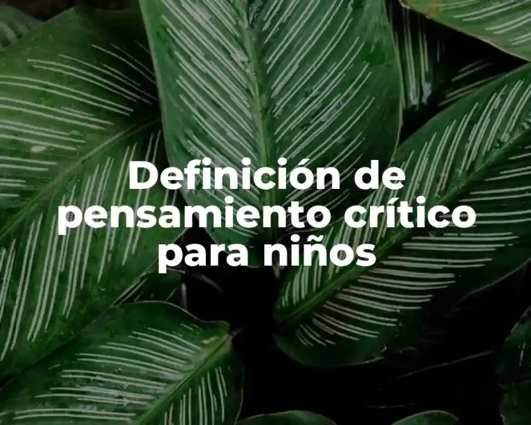 Definición de pensamiento crítico para niños