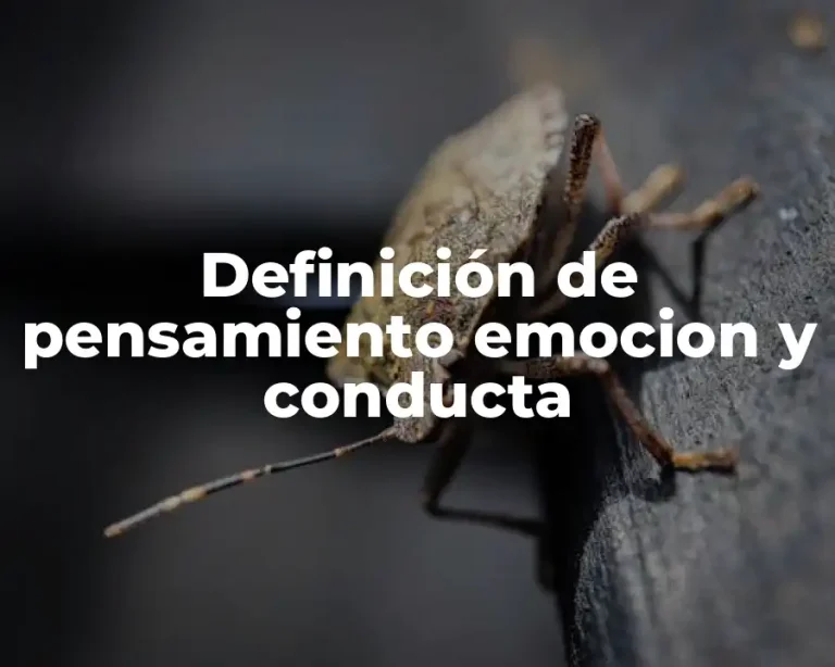 Definición de pensamiento emocion y conducta