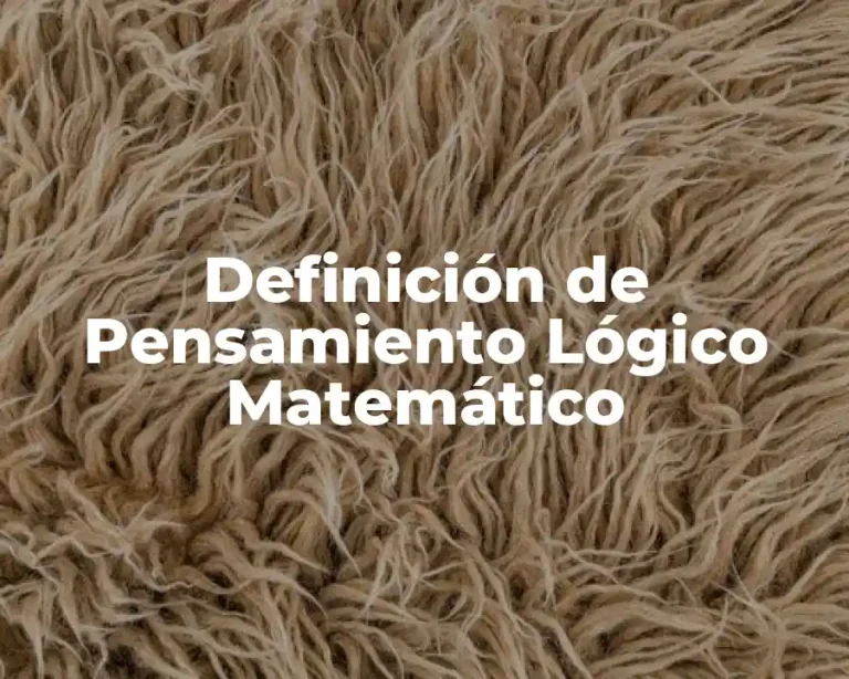 Definición de Pensamiento Lógico Matemático