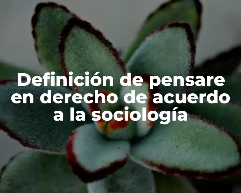 Definición de pensare en derecho de acuerdo a la sociología