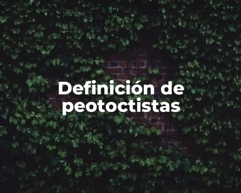 Definición de peotoctistas