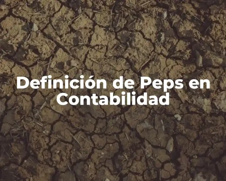 Definición de Peps en Contabilidad