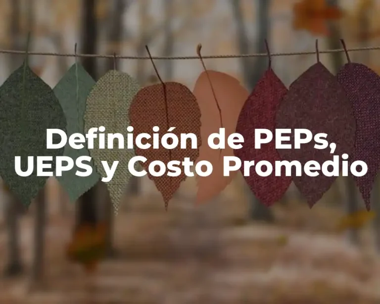 Definición de PEPs, UEPS y Costo Promedio