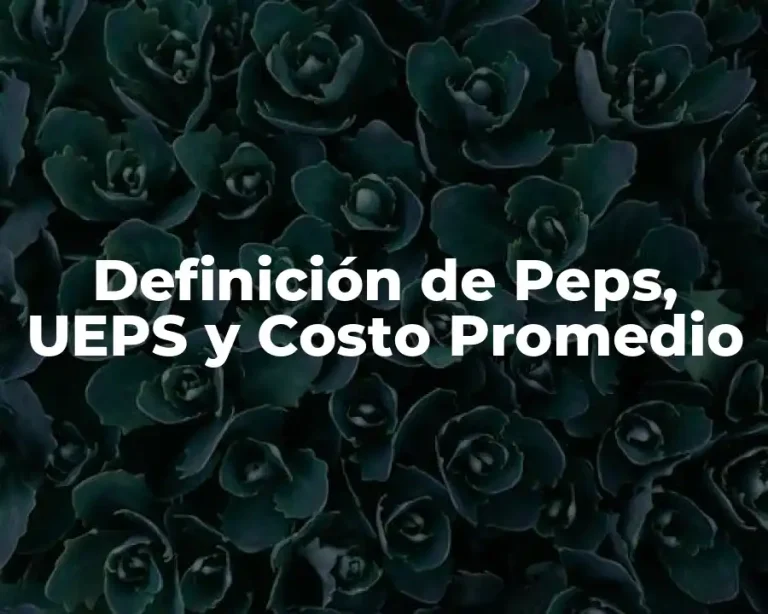 Definición de Peps, UEPS y Costo Promedio