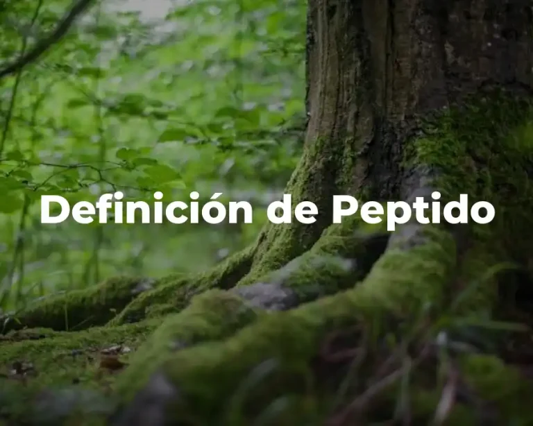 Definición de Peptido