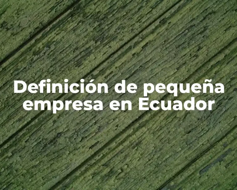 Definición de pequeña empresa en Ecuador