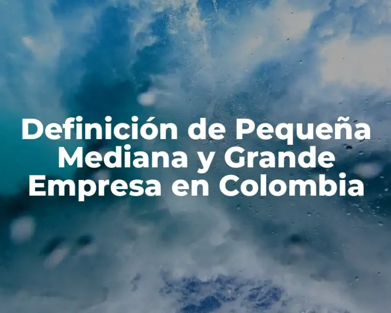 Definición de Pequeña Mediana y Grande Empresa en Colombia