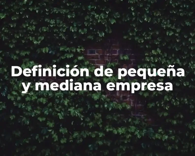 Definición de pequeña y mediana empresa