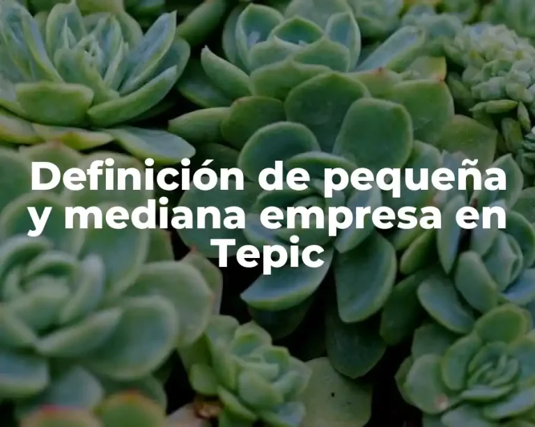 Definición de pequeña y mediana empresa en Tepic