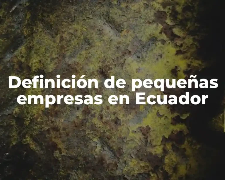 Definición de pequeñas empresas en Ecuador