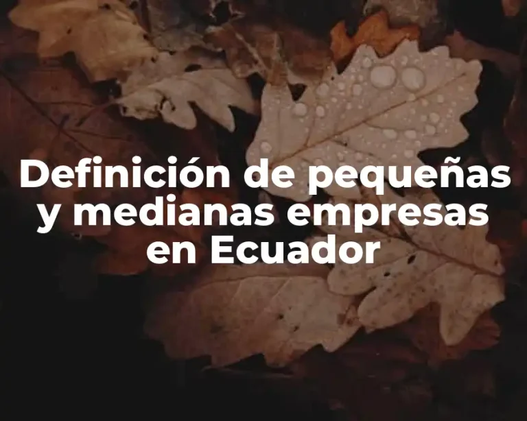 Definición de pequeñas y medianas empresas en Ecuador