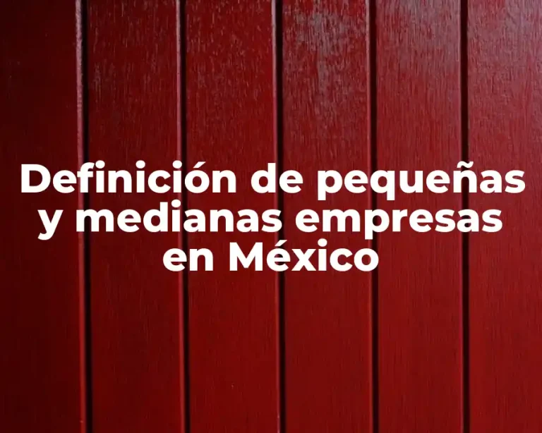 Definición de pequeñas y medianas empresas en México