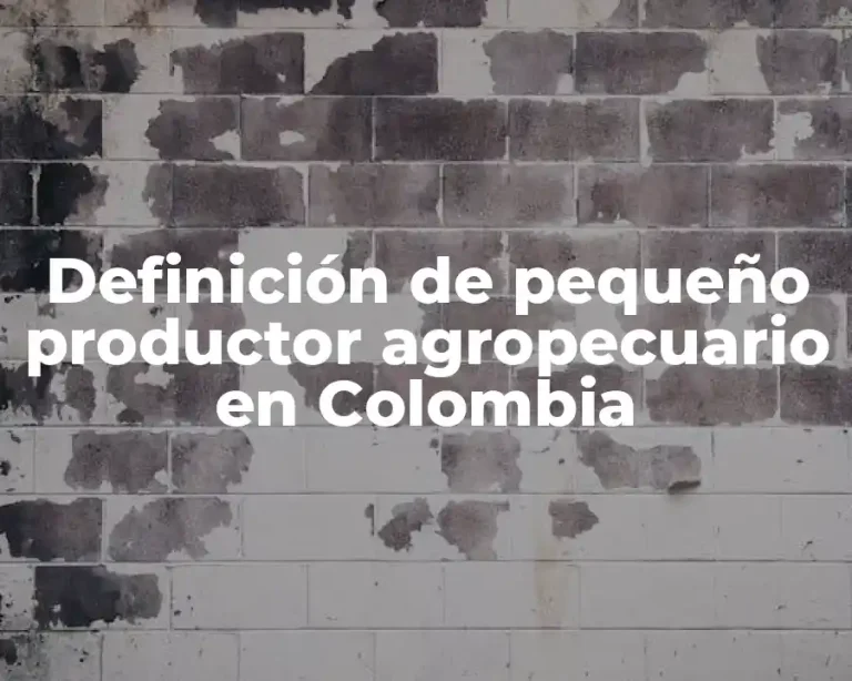 Definición de pequeño productor agropecuario en Colombia