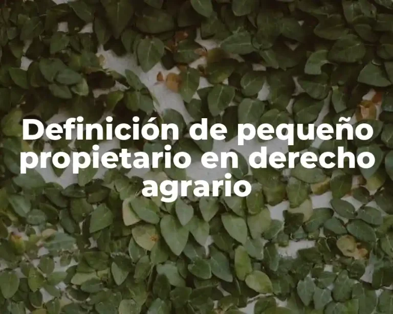 Definición de pequeño propietario en derecho agrario
