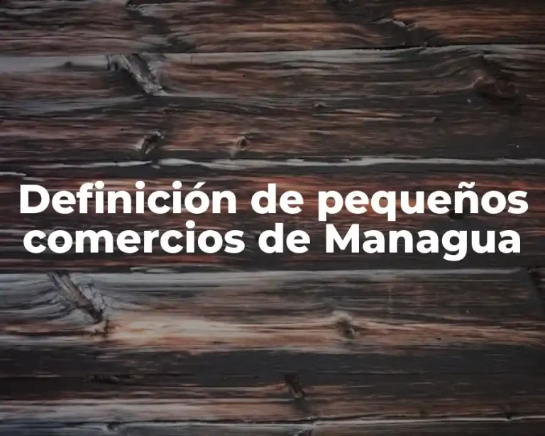 Definición de pequeños comercios de Managua
