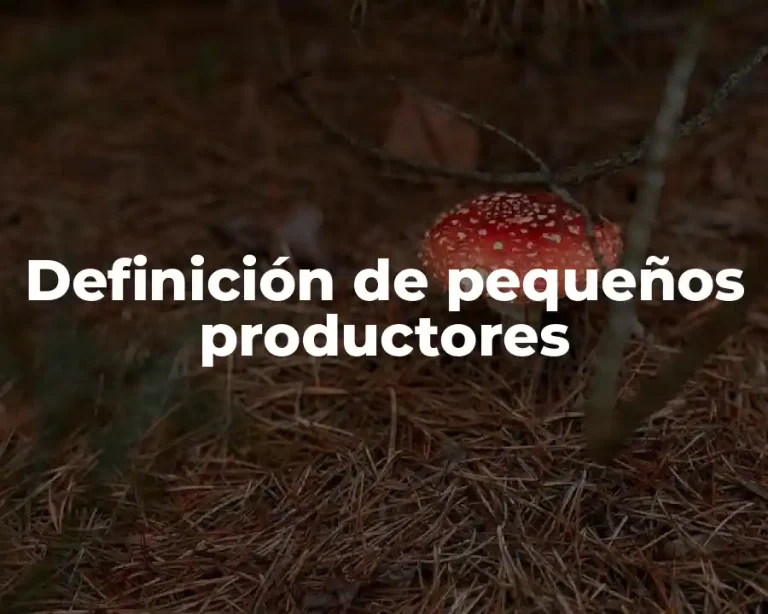 Definición de pequeños productores