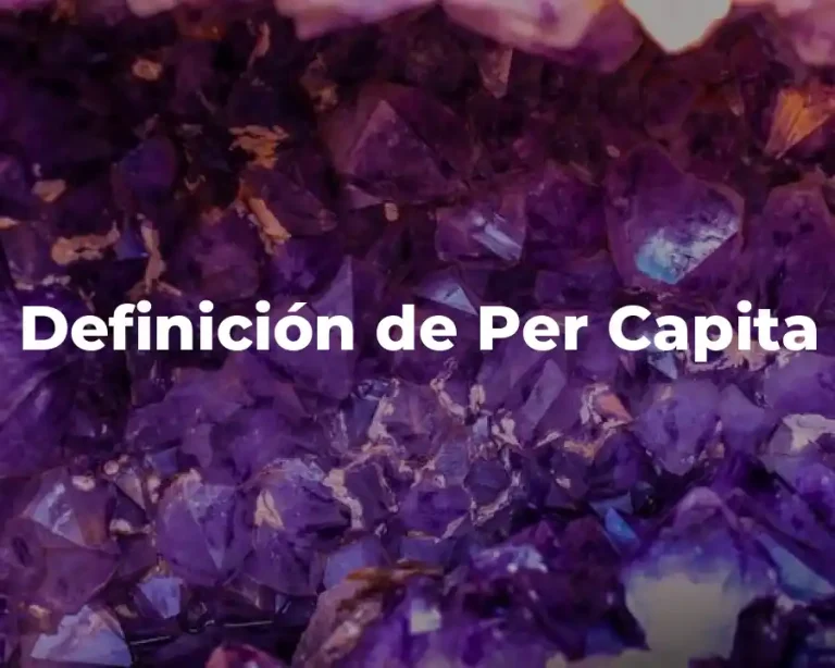 Definición de Per Capita