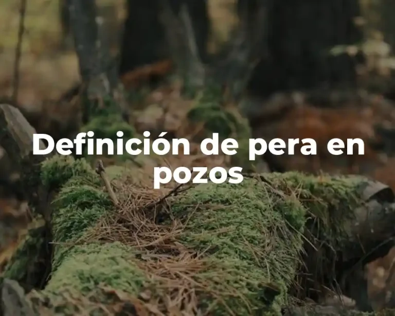 Definición de pera en pozos