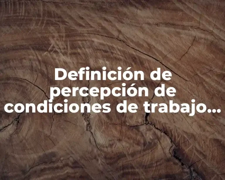 Definición de percepción de condiciones de trabajo cualitativa