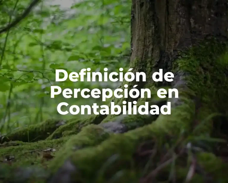 Definición de Percepción en Contabilidad
