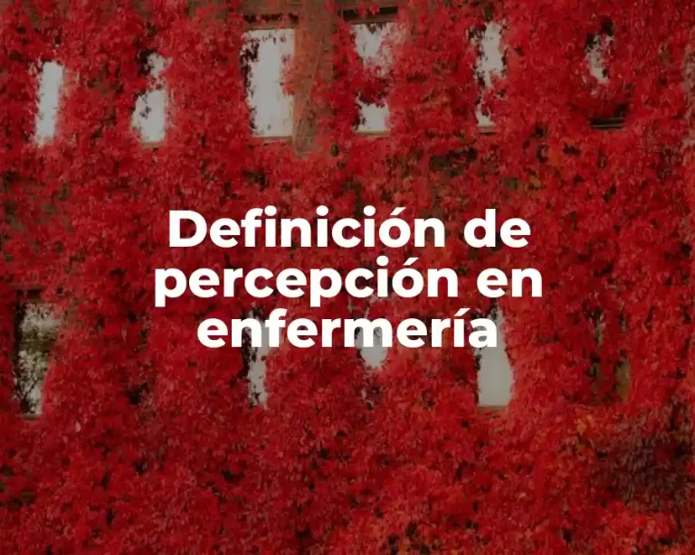 Definición de percepción en enfermería