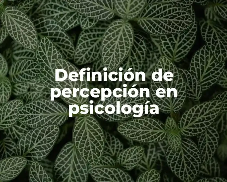 Definición de percepción en psicología