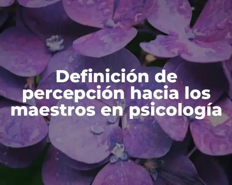 Definición de percepción hacia los maestros en psicología