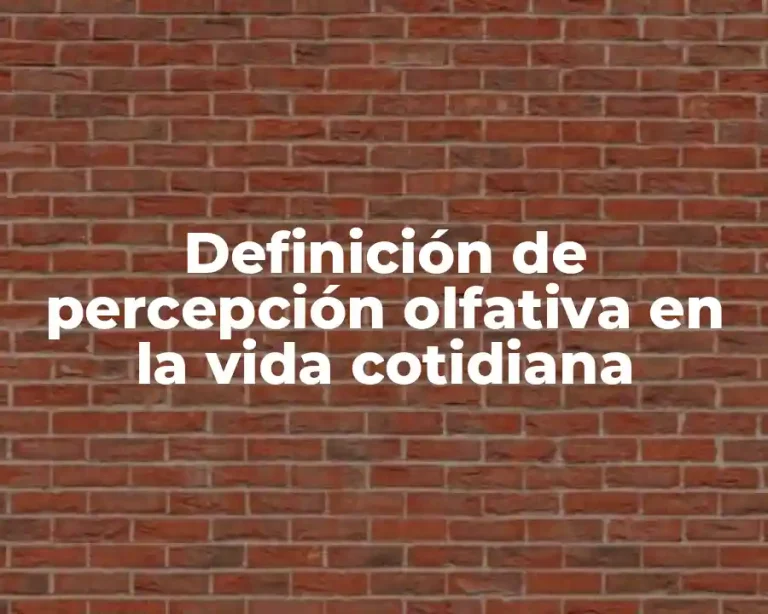 Definición de percepción olfativa en la vida cotidiana