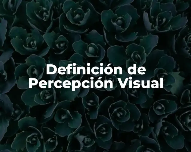 Definición de Percepción Visual