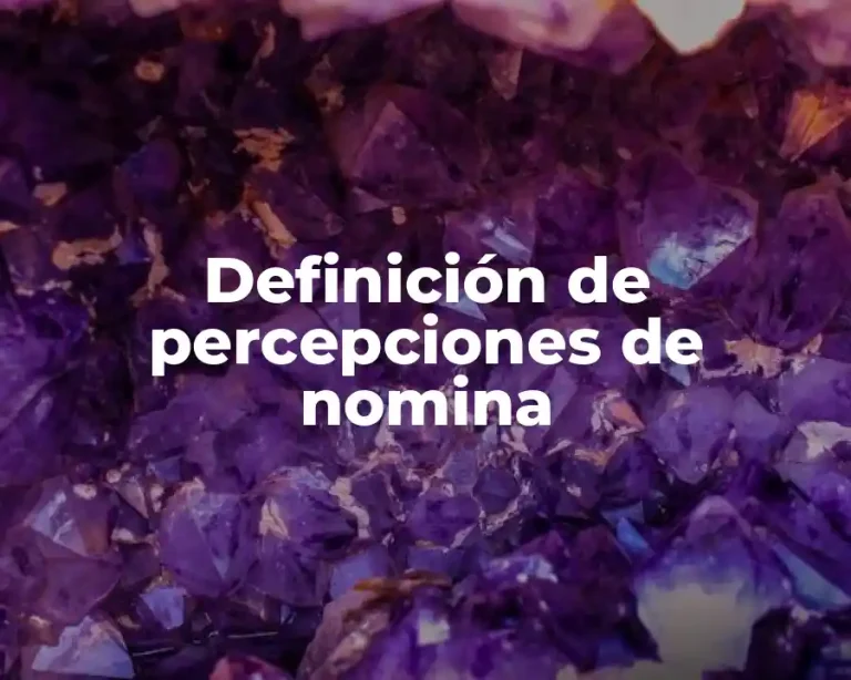 Definición de percepciones de nomina