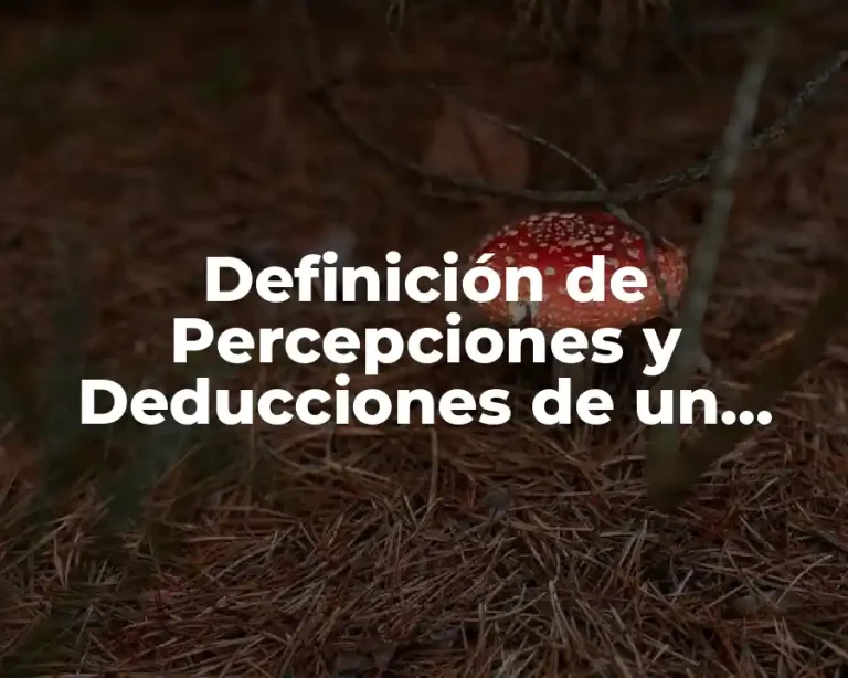 Definición de Percepciones y Deducciones de un Trabajador