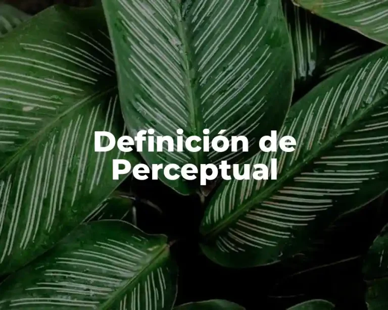 Definición de Perceptual