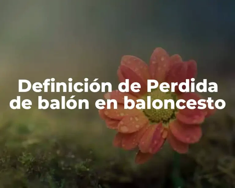 Definición de Perdida de balón en baloncesto