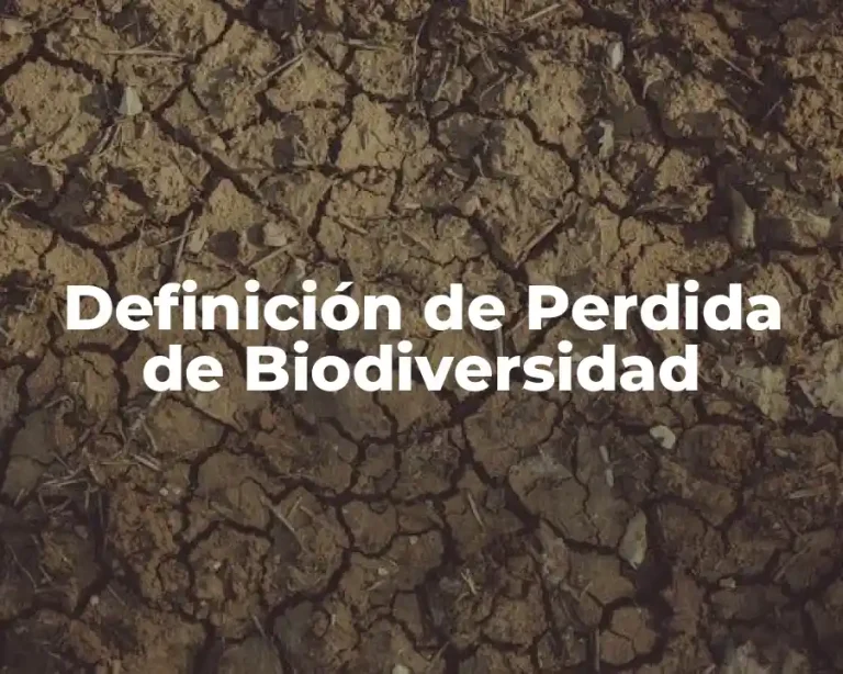 Definición de Perdida de Biodiversidad