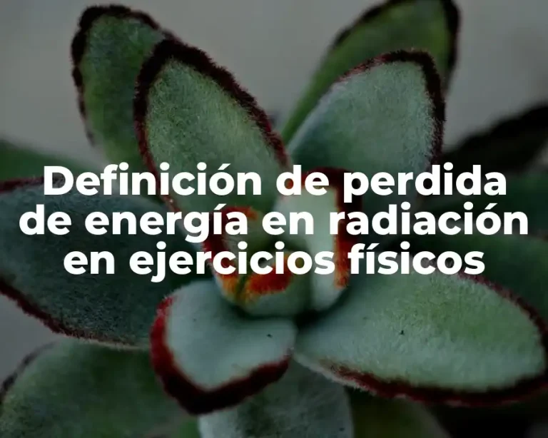 Definición de perdida de energía en radiación en ejercicios físicos