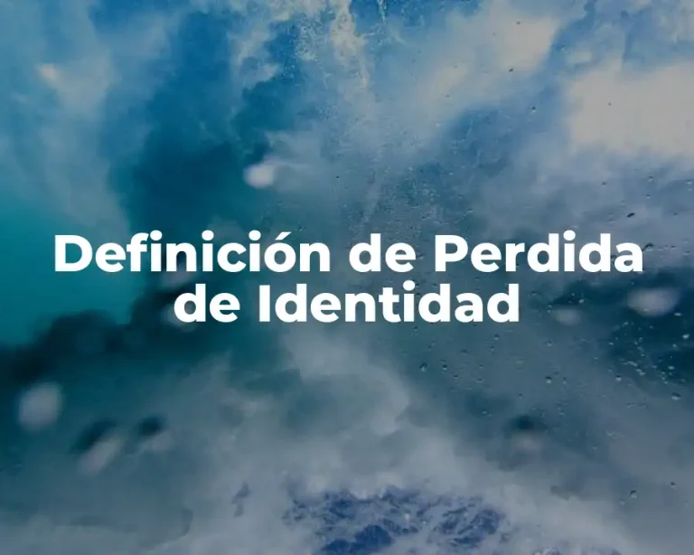 Definición de Perdida de Identidad