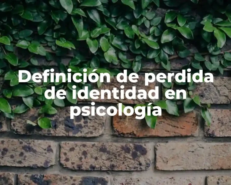 Definición de perdida de identidad en psicología