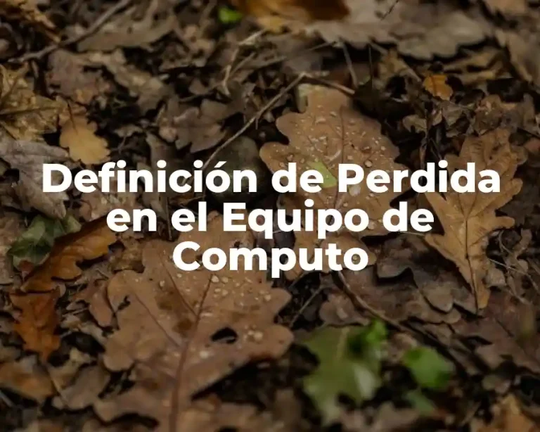 Definición de Perdida en el Equipo de Computo
