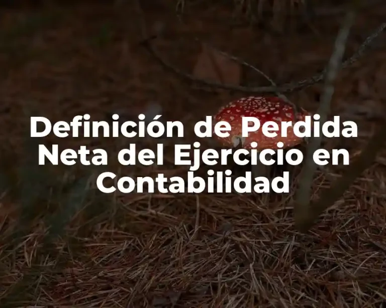 Definición de Perdida Neta del Ejercicio en Contabilidad