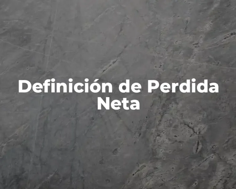 Definición de Perdida Neta