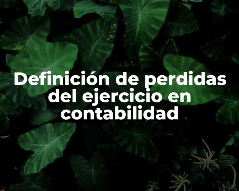 Definición de perdidas del ejercicio en contabilidad