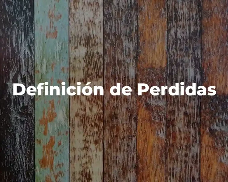 Definición de Perdidas