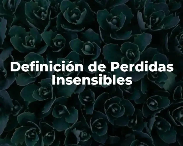 Definición de Perdidas Insensibles
