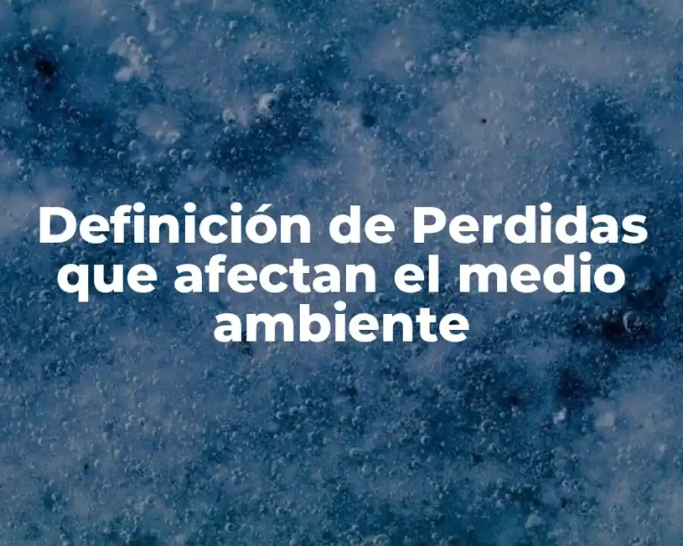 Definición de Perdidas que afectan el medio ambiente